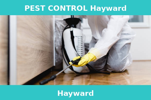 PEST CONTROL Hayward